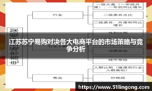 江苏苏宁易购对决各大电商平台的市场策略与竞争分析