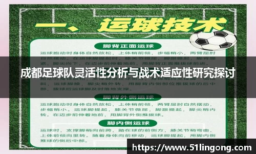 成都足球队灵活性分析与战术适应性研究探讨